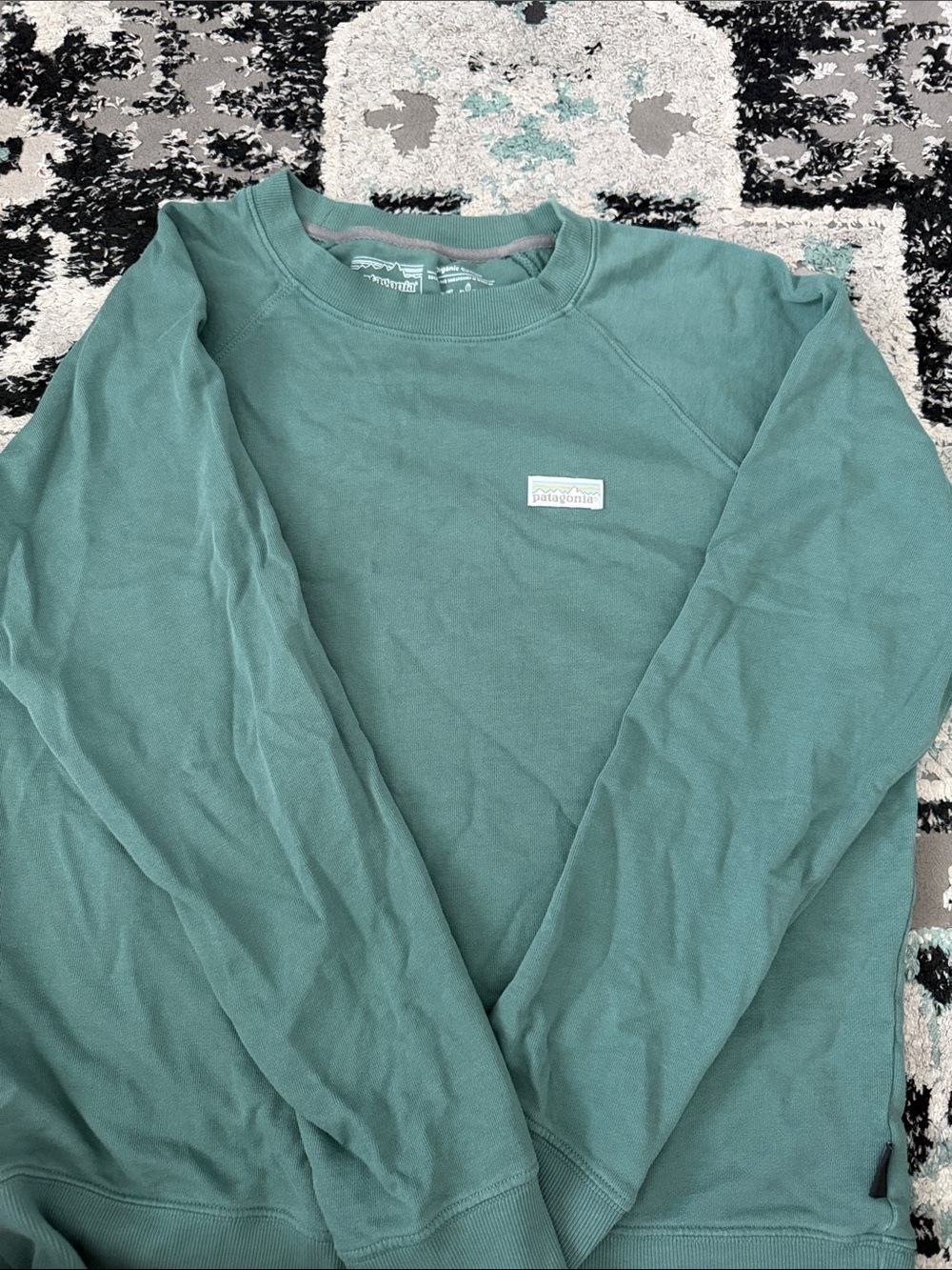 Patagonia Women’s Crew Sweatshirt in Seafoam Green